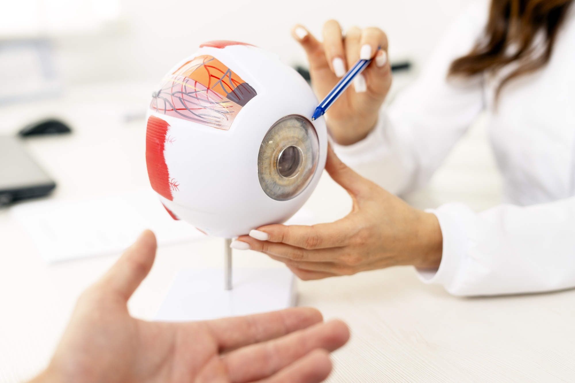 Close up of female ophthalmologist holding anatomical model of human eye and talking with patient. Health care concept